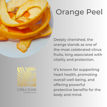 Load image into Gallery viewer, Orange Peel Earrings - Midi