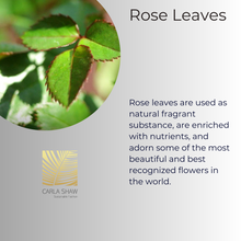 Load image into Gallery viewer, Rose Leaves Earrings