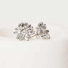 Load image into Gallery viewer, Sempre Viva Earrings
