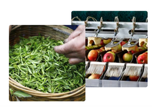 Load image into Gallery viewer, SLIM CARD HOLDER - BLACK
